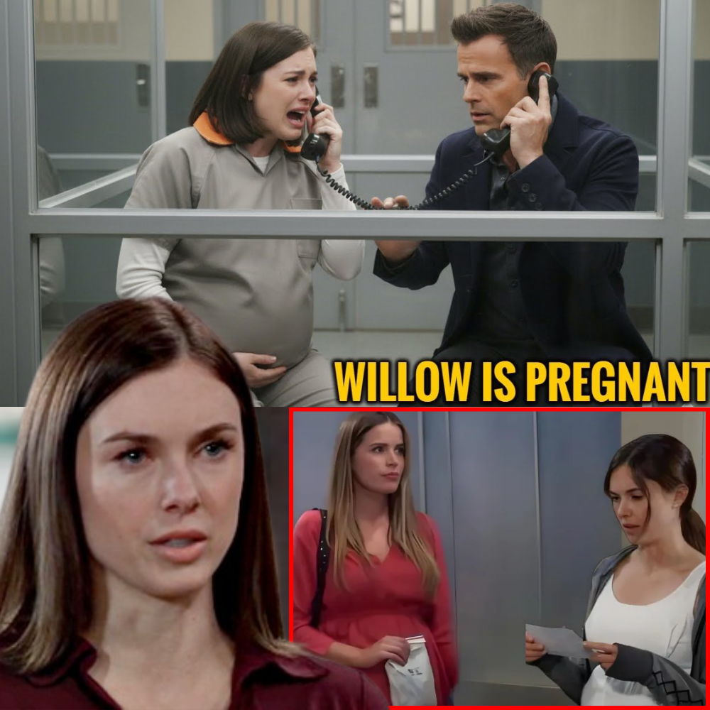 Willow is surprised to find out she is expecting a baby during a medical examination, yet she hesitates to inform Drew. It raises the question of whether the child might not be his.