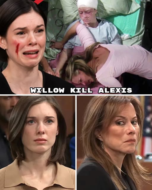 Willow had no choice but to kill Alexis after her secret was revealed in The Bold and the Beautiful. In a 𝓈𝒽𝓸𝒸𝓀𝒾𝓃𝑔 turn of events on The Bold and the Beautiful, Willow Kane is implicated in the death of Alexis Davis after her secret was uncovered. Alexis, who was close to exposing a dark truth, died in what appears to be a staged accident, leaving friends suspicious and desperate for answers.